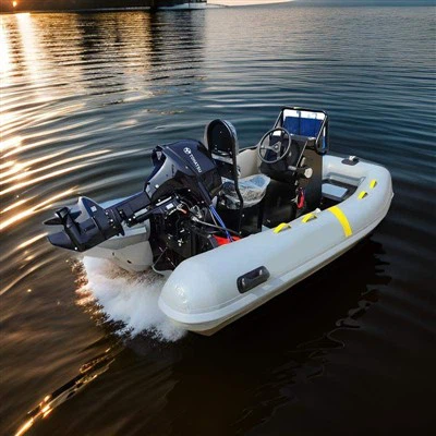 20 voet rigide opblaasbare boot